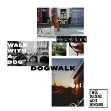 Afbeelding in Gallery-weergave laden, Evy De Ceur - Dogwalk - T-shirt - lichtblauw