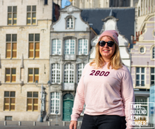 Afbeelding in Gallery-weergave laden, Sweater - 2800 - Roze - Vrouw