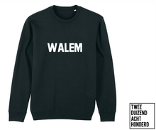 Afbeelding in Gallery-weergave laden, Sweater - Walem - Unisex
